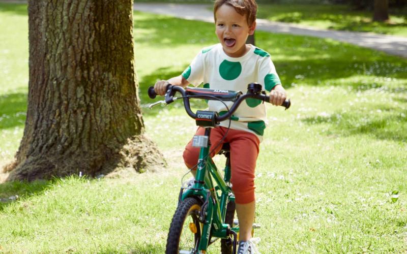 <p>Kriskras in de stad, door het park, naar de skatebaan! Met de Alpina Comet begint iedere dag met een nieuw avontuur. Deze crossers - ge&amp;iuml;nspireerd op de BMX - zijn perfect op straat en offroad te gebruiken. De stoere banden met grof profiel geven altijd de juiste grip.</p>
