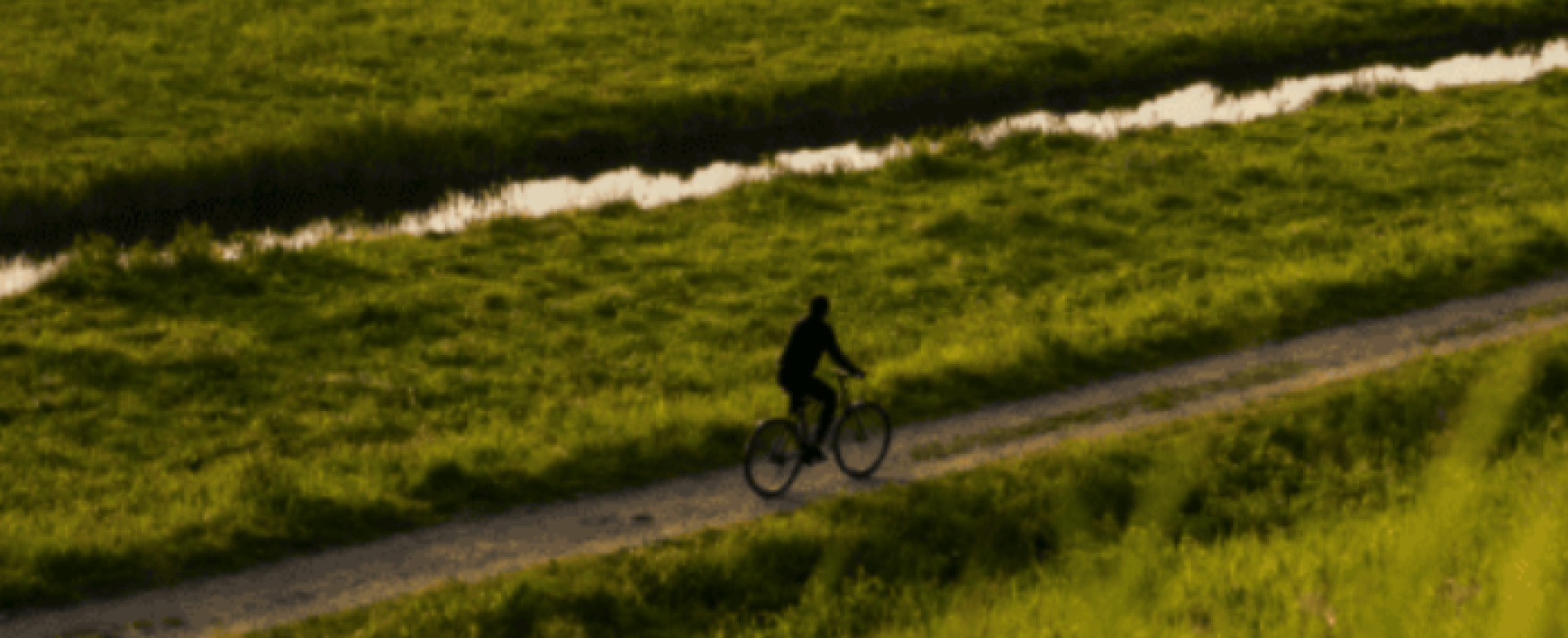 Bikespoint