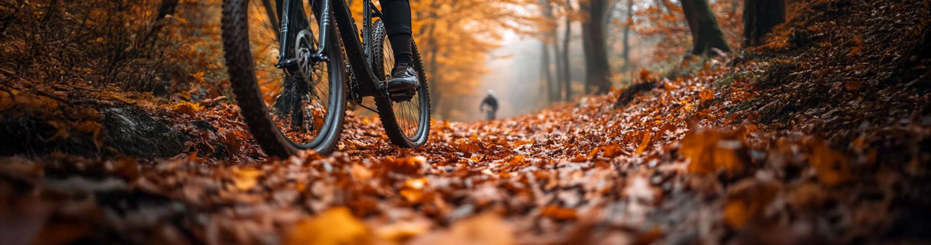 Bikespoint